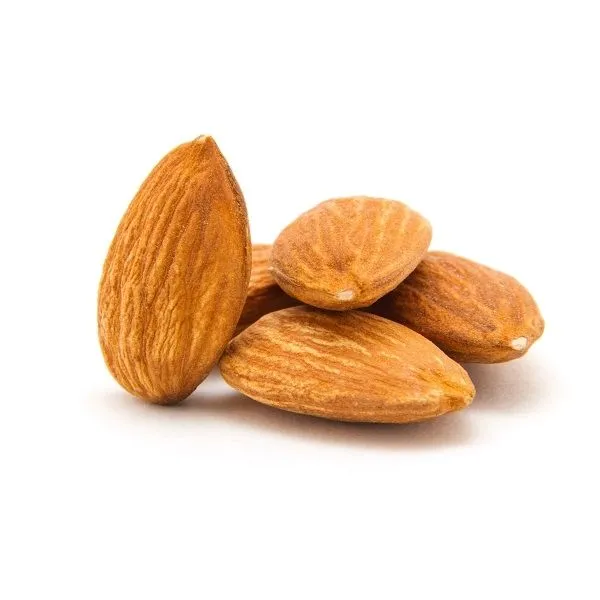 Buy raw bitter almonds nuts at an exceptional price