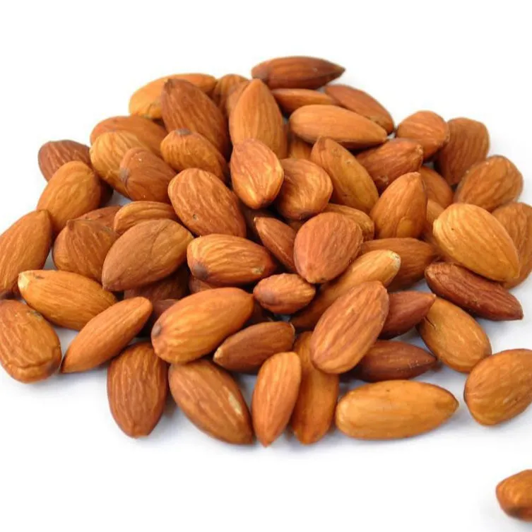 Price and purchase of raw bitter almonds nuts + cheap sale