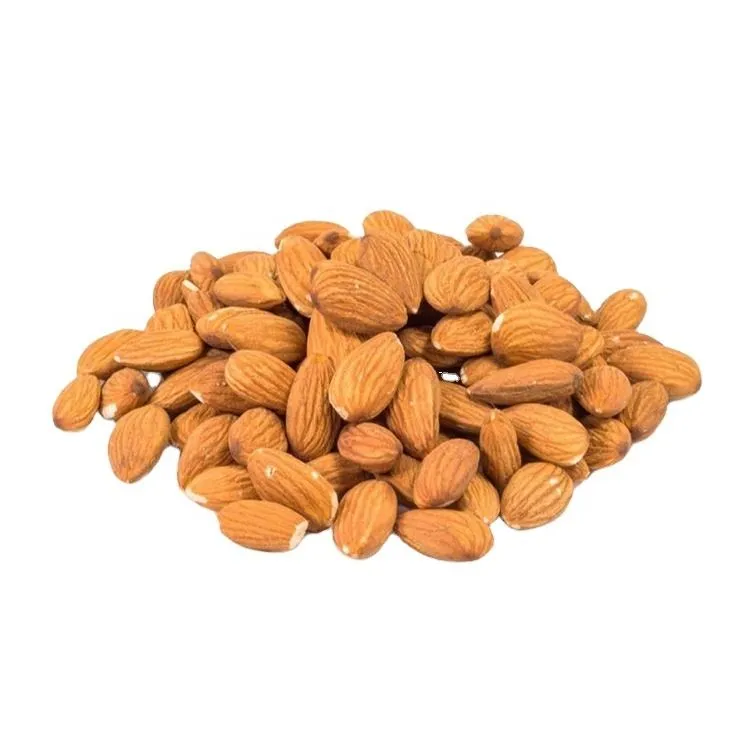 Price and purchase of raw bitter almonds nuts + cheap sale