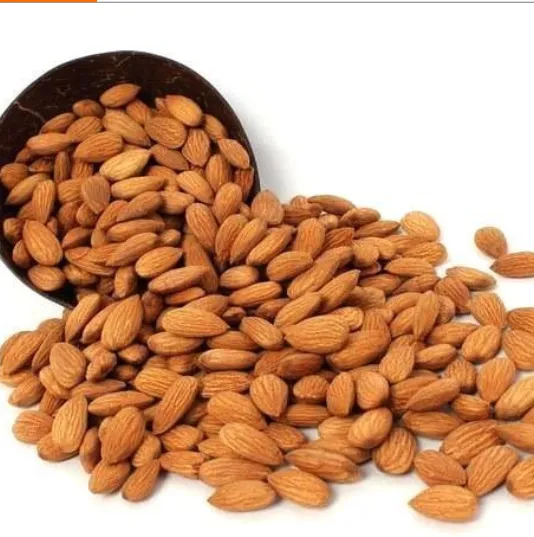 Price and purchase of raw bitter almonds nuts + cheap sale