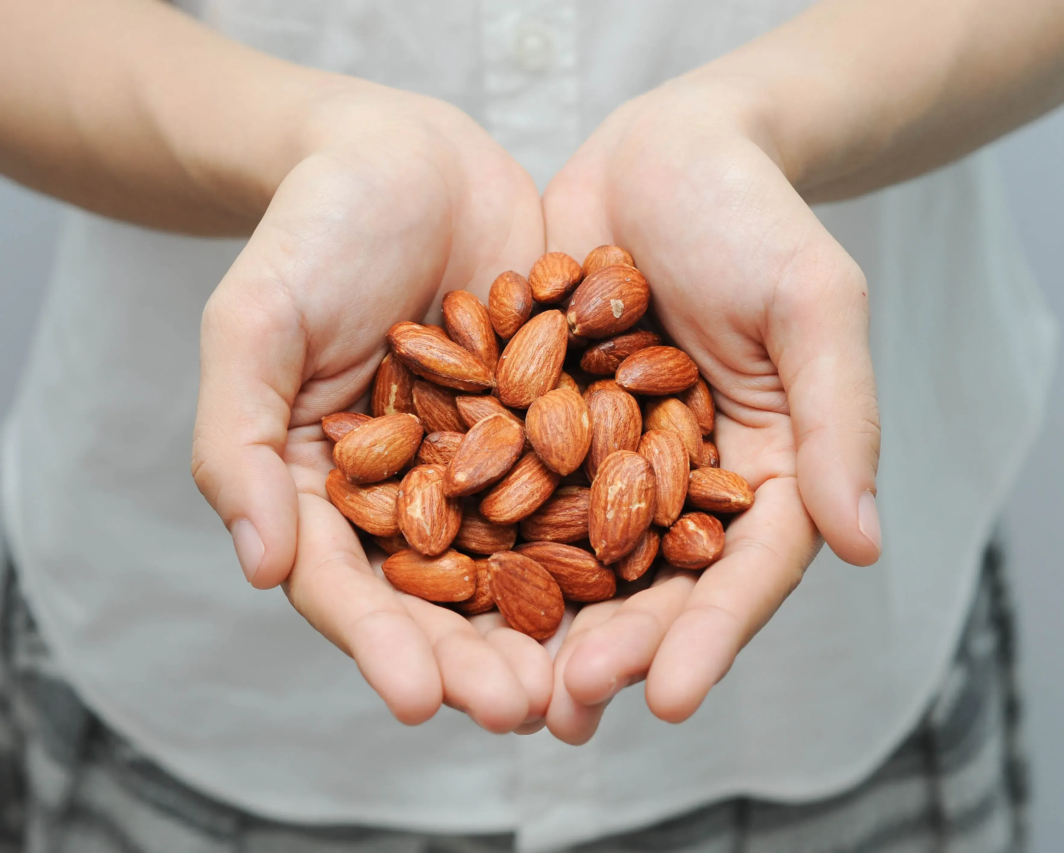 Purchase and price of all types of roasted almonds