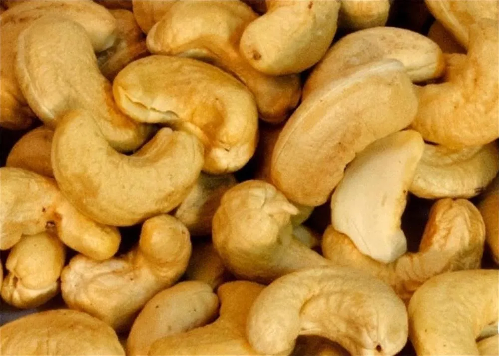 cashew seed