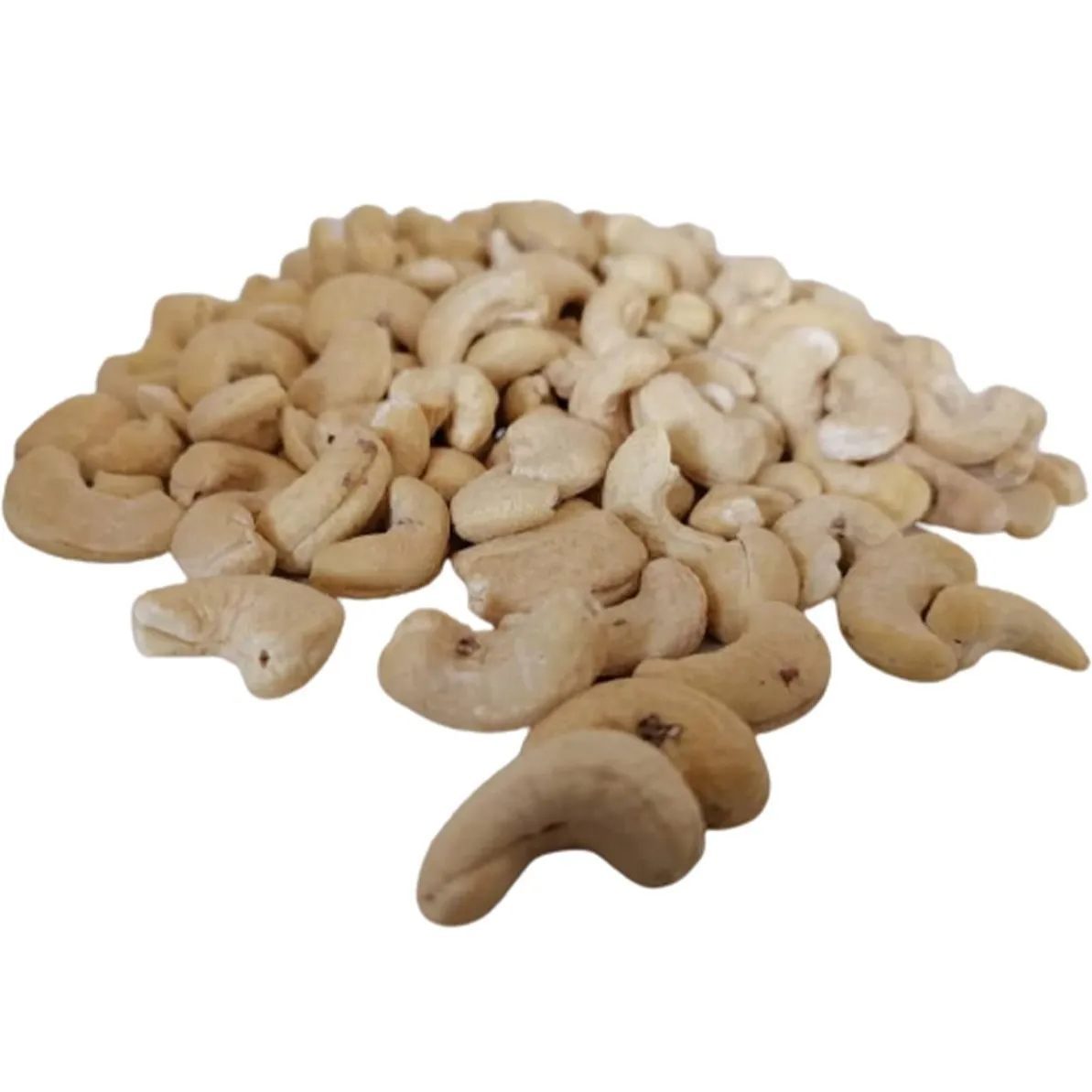 cashew seed