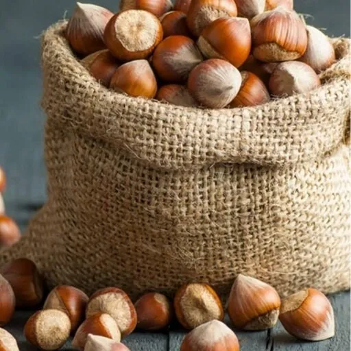 types of nuts for hazelnuts