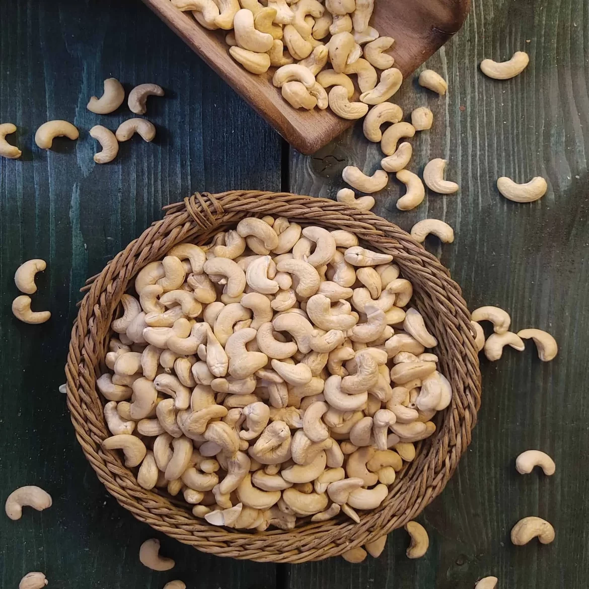 The purchase price of roasted cashew nuts + training