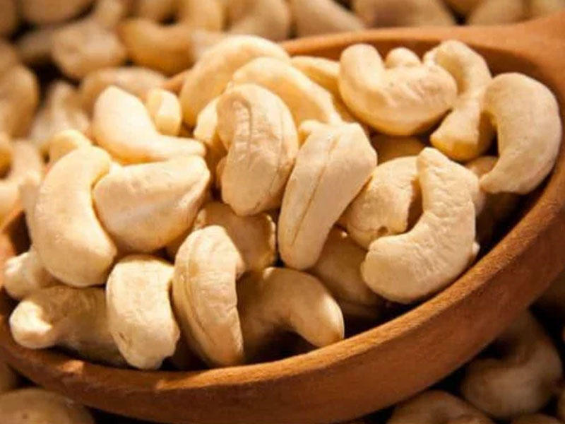 cashew nut industry growth