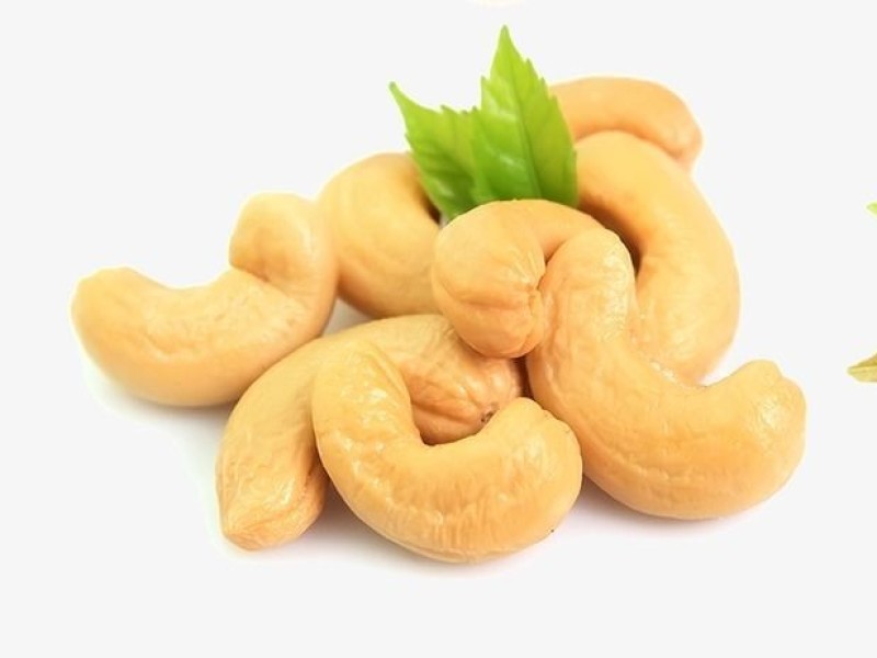 cashew nut industry growth