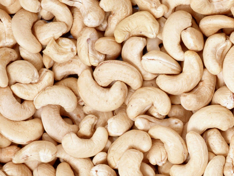 cashew market size in india