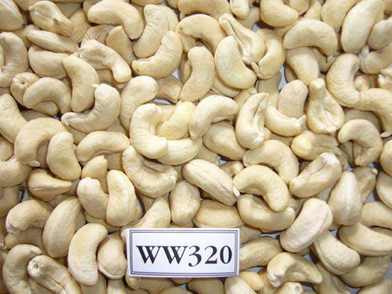 Price and buy cashew nut industry in India + cheap sale