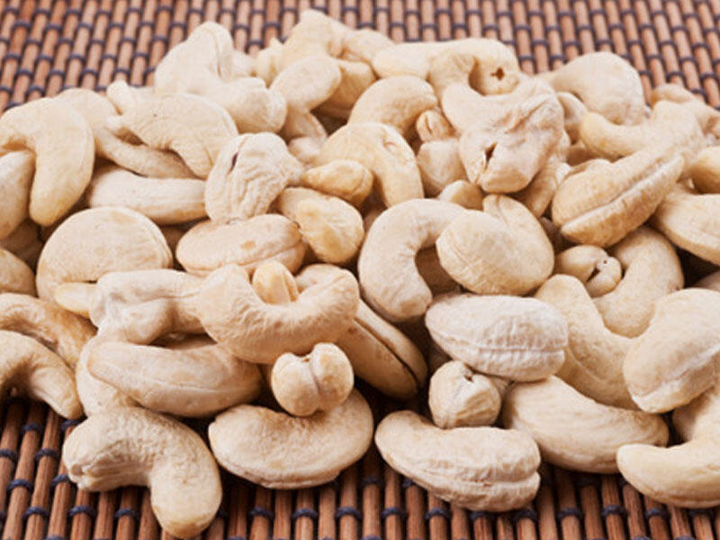 cashew nut industry in kerala