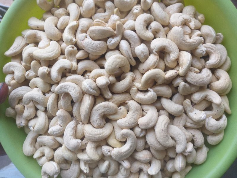 cashew nut industry in odisha