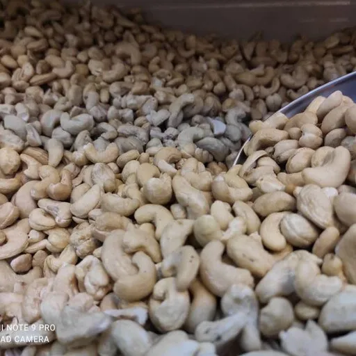 raw cashew nuts edible