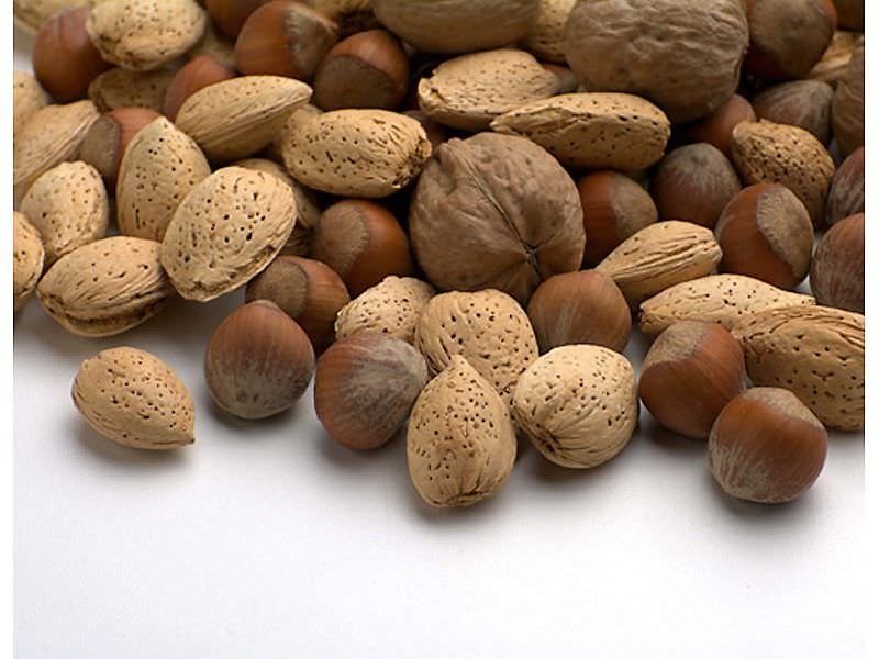 What is fresh nuts + purchase price of fresh nuts