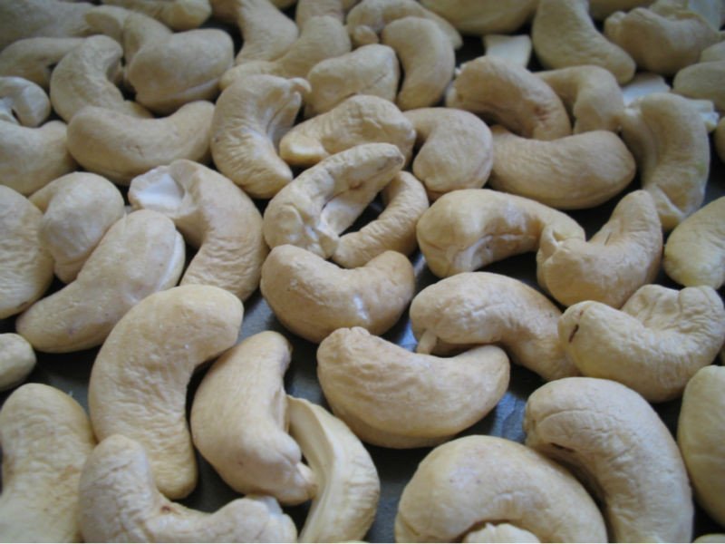 raw cashew shell suppliers