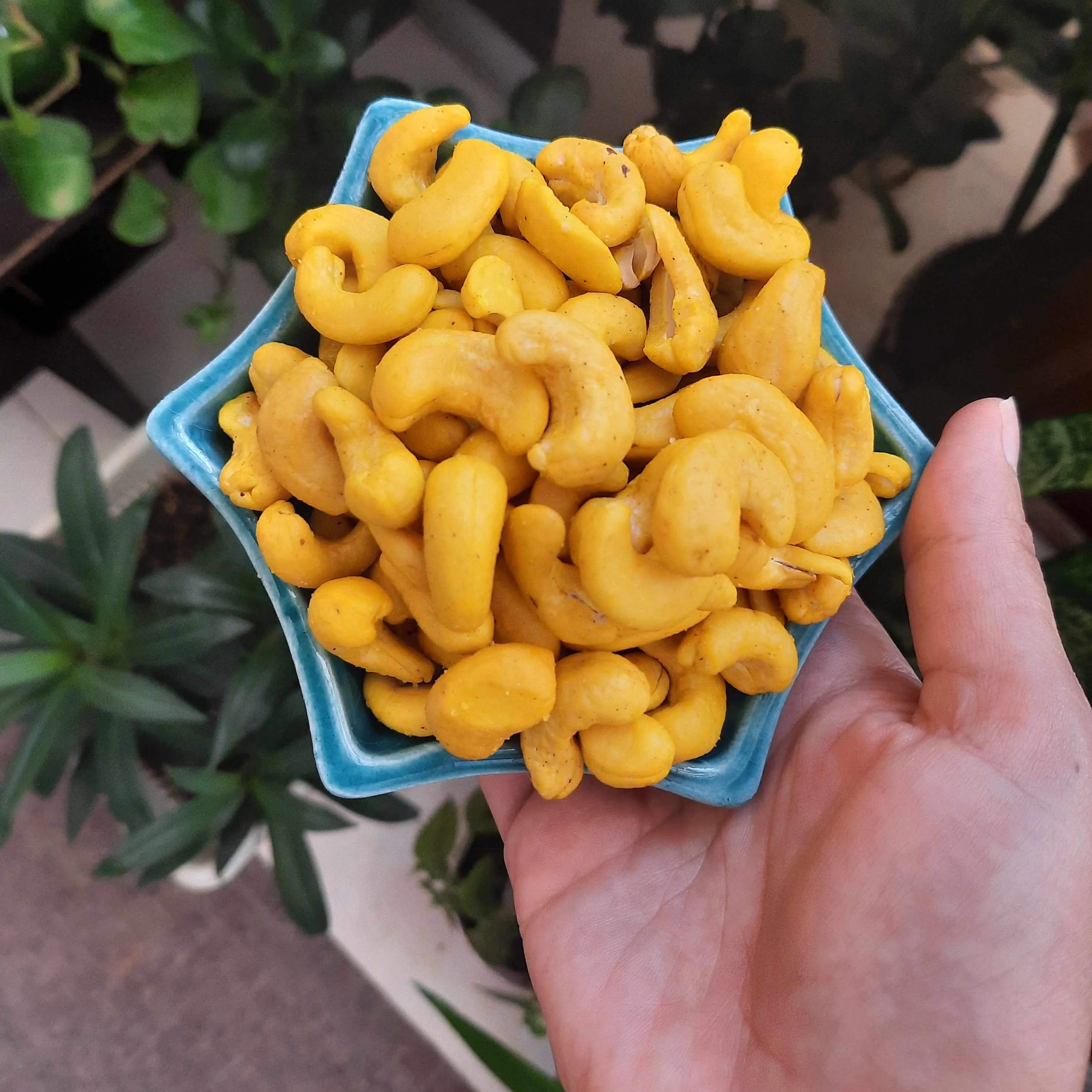 bulk organic raw cashews