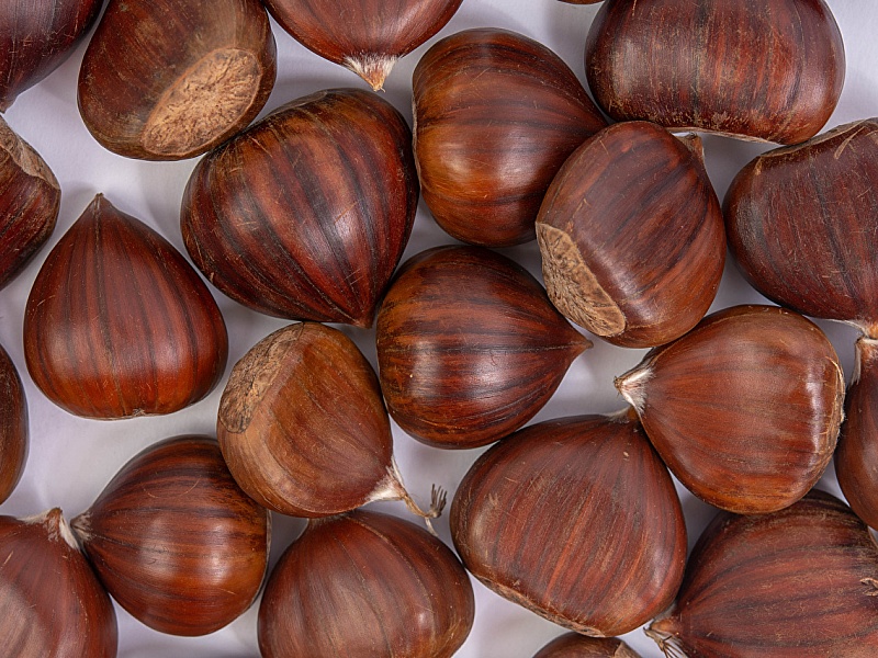 Roasted hazelnuts in shell