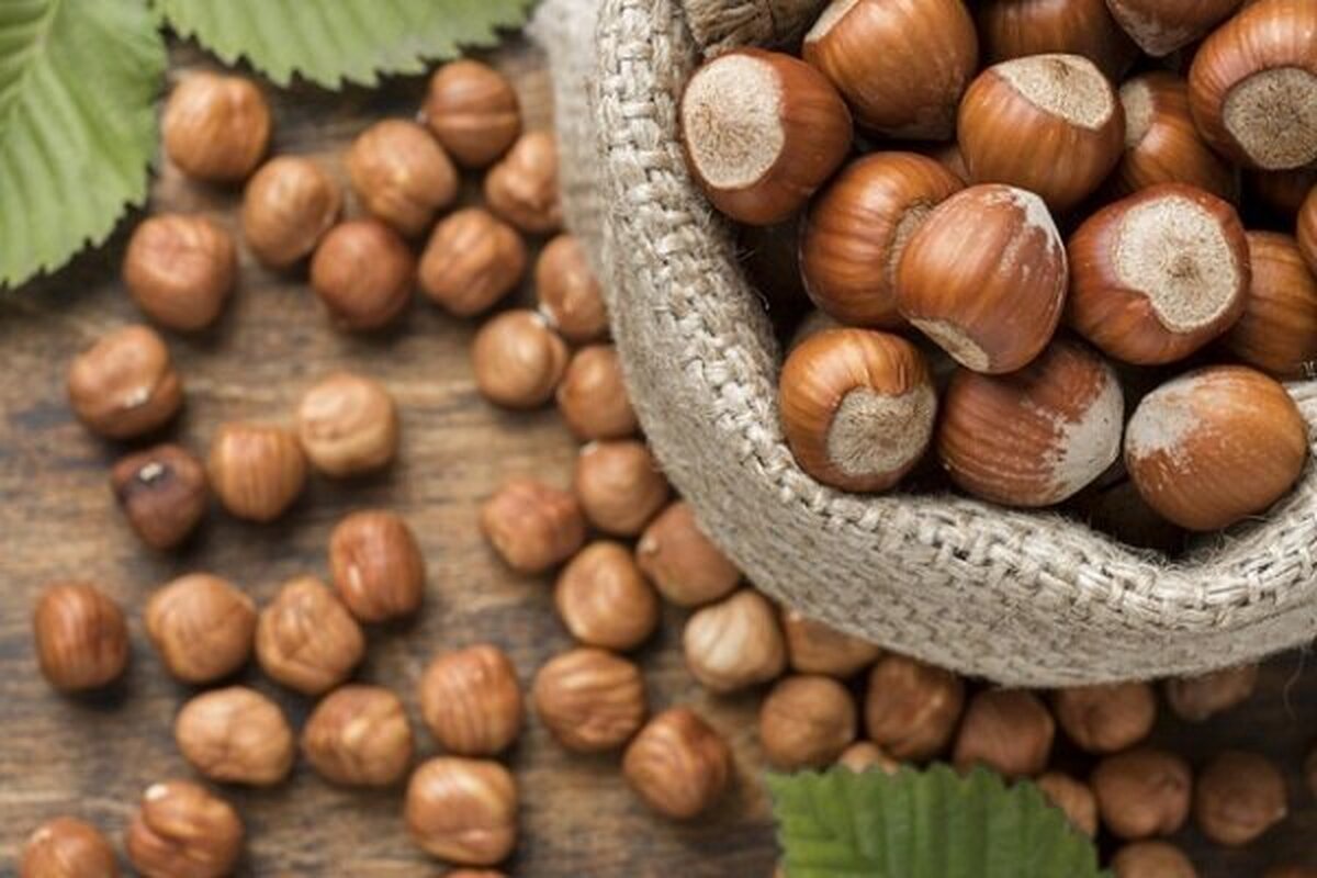 Roasted hazelnuts in shell