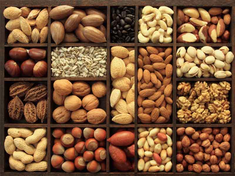 Purchase and price of the latest types of nuts in bulk