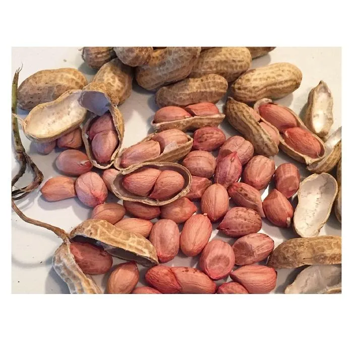 Buy raw virginia peanuts wholesale + best price