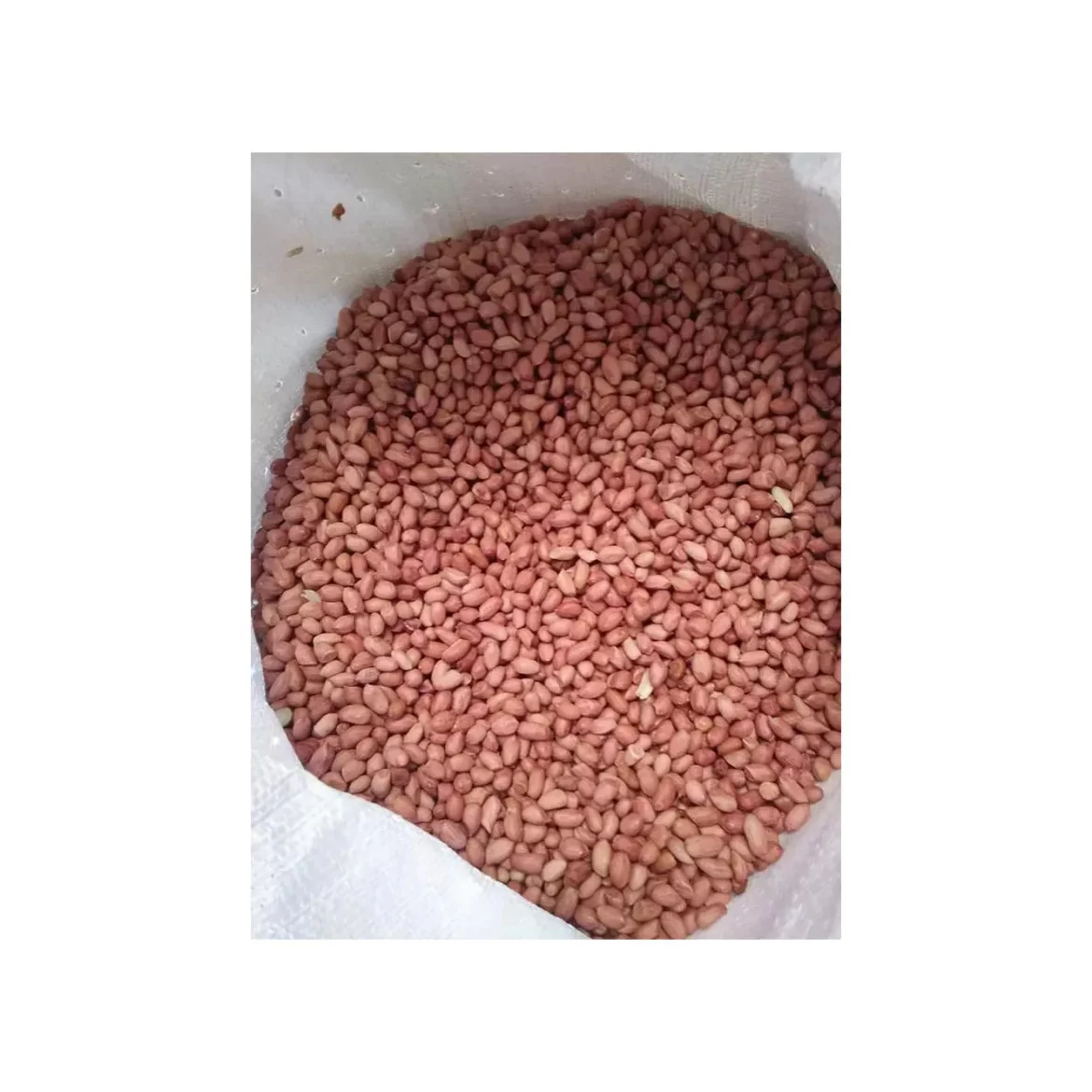 Buy raw virginia peanuts wholesale + best price