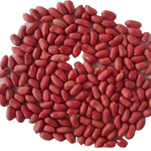 Price and purchase of raw virginia redskin peanuts + cheap sale 