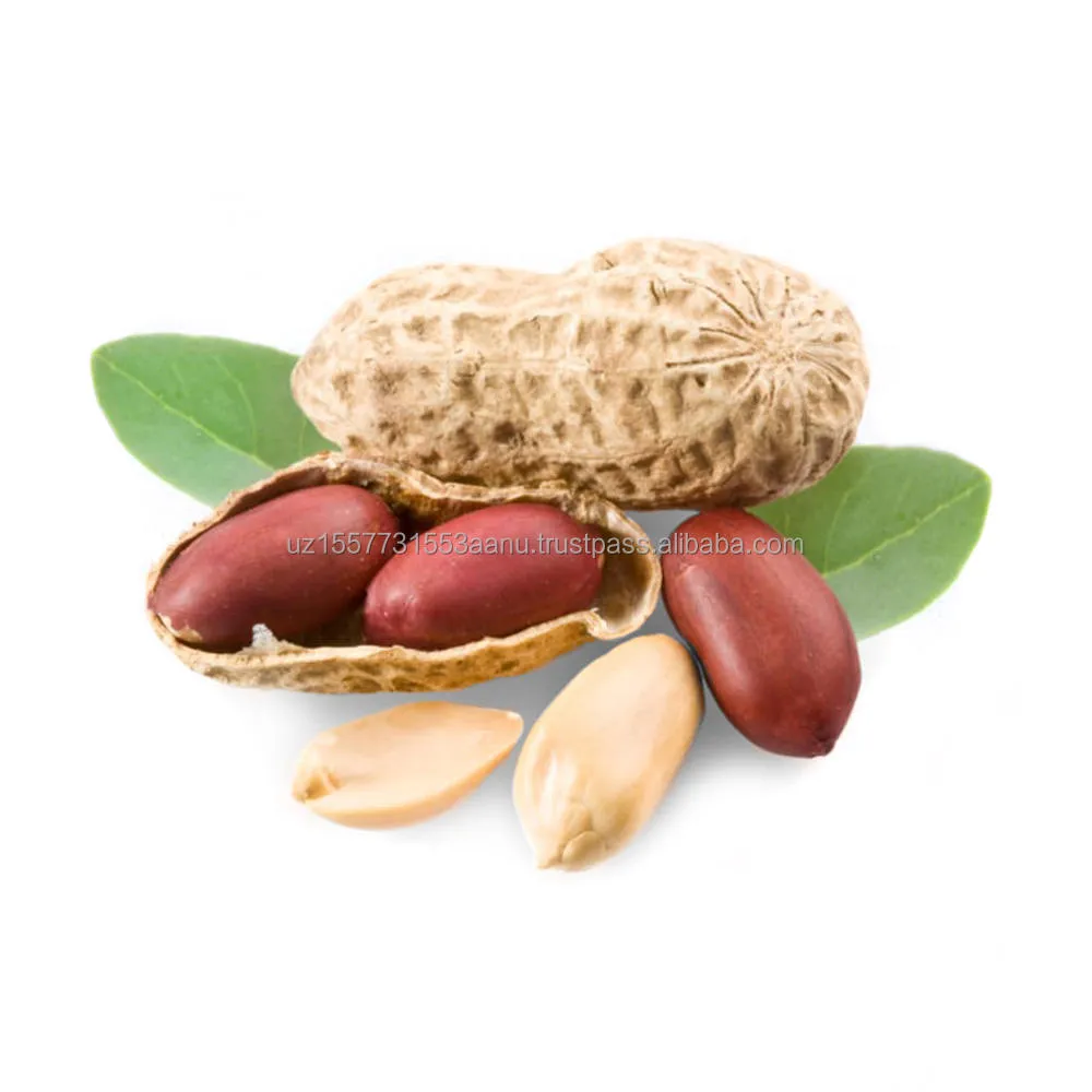 Buy raw virginia peanuts company + best price