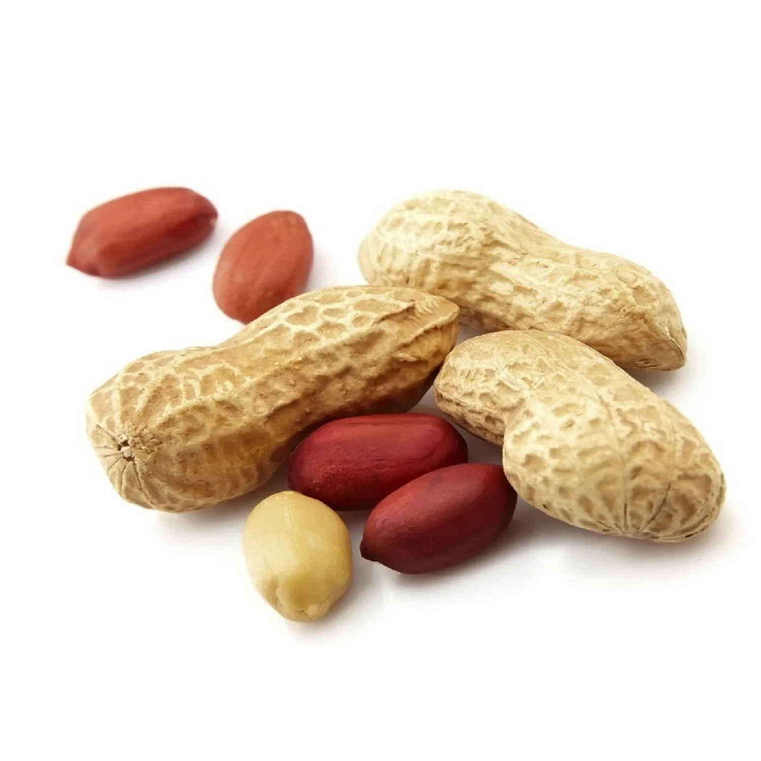 Buy raw virginia peanuts company + best price