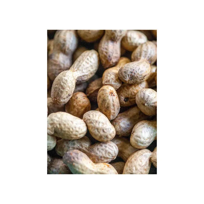 Buy raw virginia peanuts bulk + best price