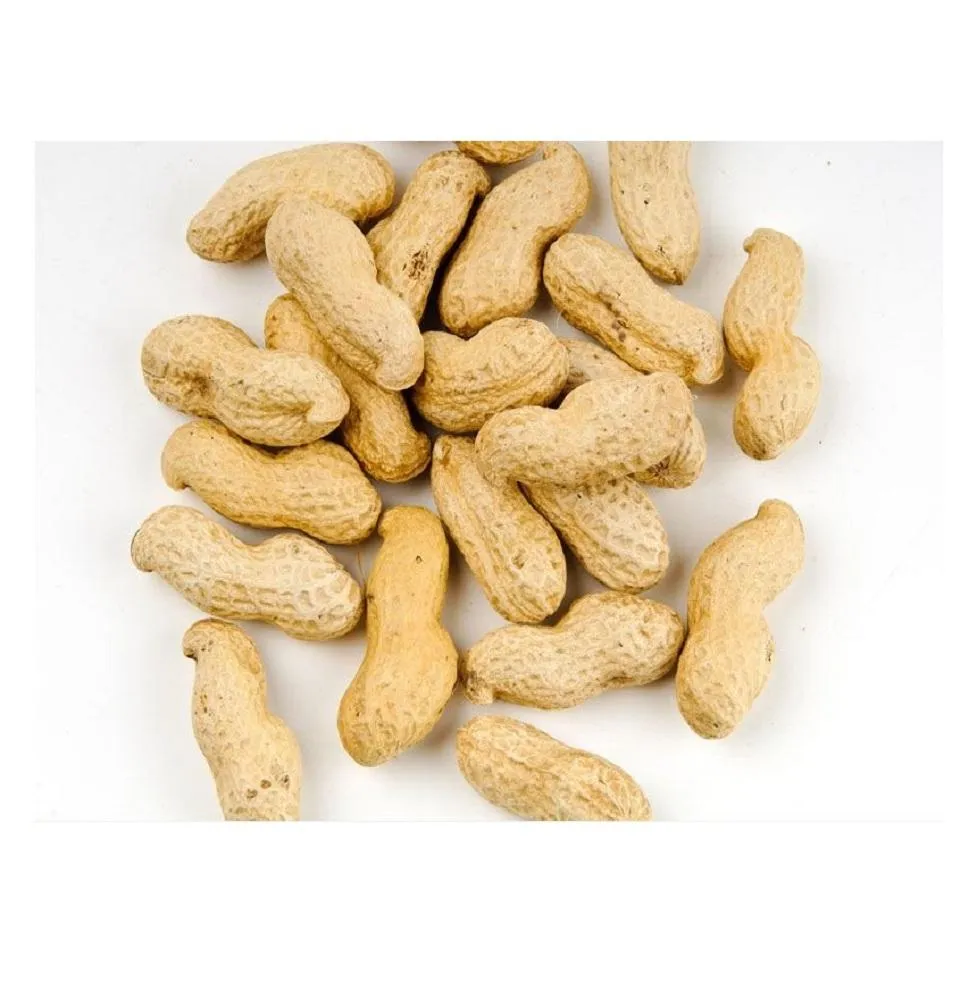 Buy redskin peanuts vs Spanish peanuts at an exceptional price