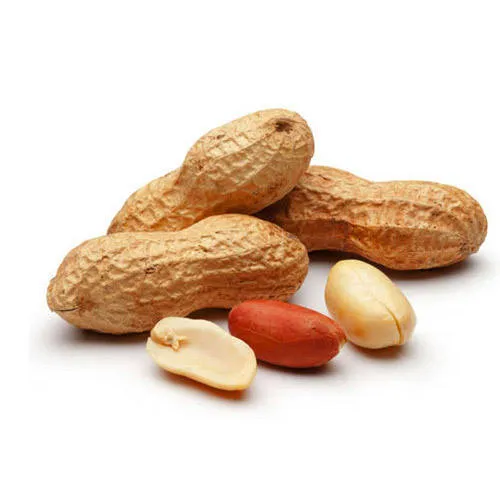 Buy salted peanuts in shell Canada + best price