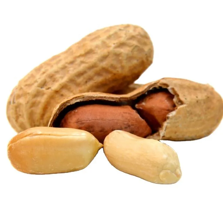 Buy salted peanuts in shell Canada + best price