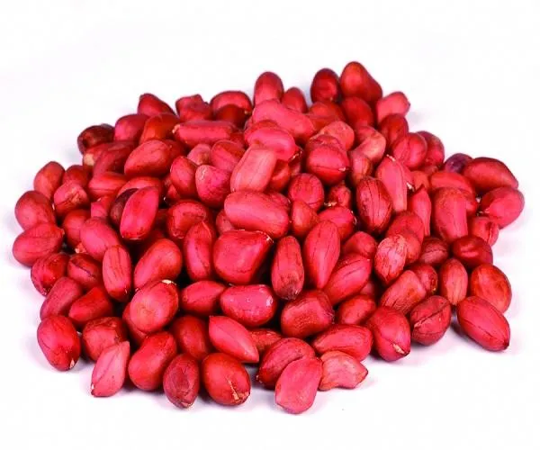 Price and buy salted peanuts in shell bulk + cheap sale