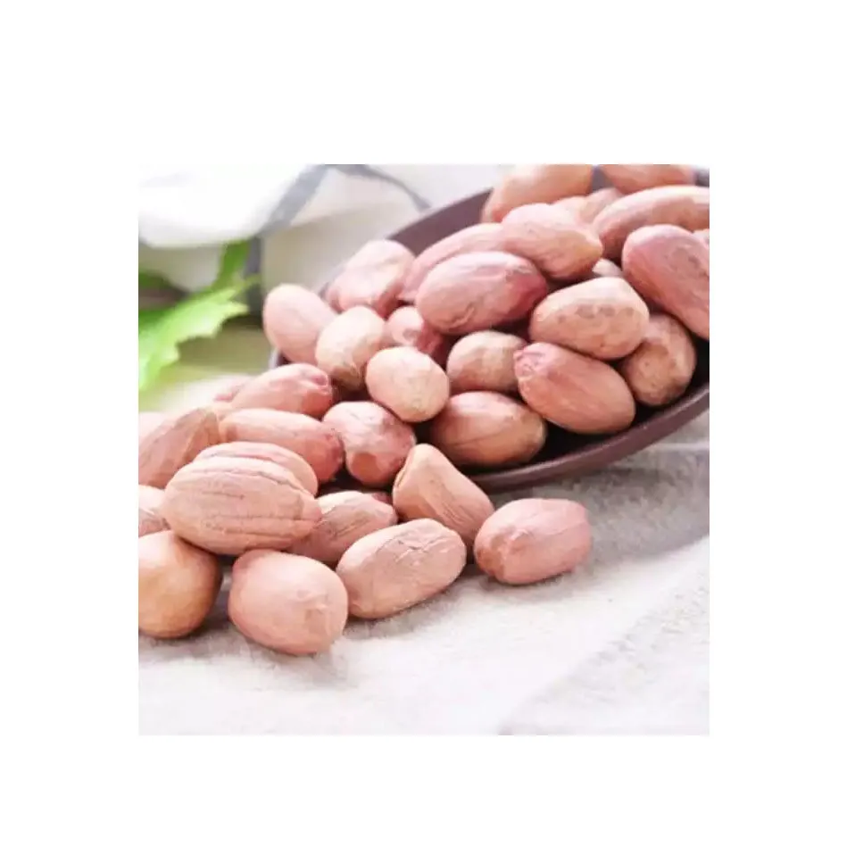 Buy and wholesale price salted peanuts in shell