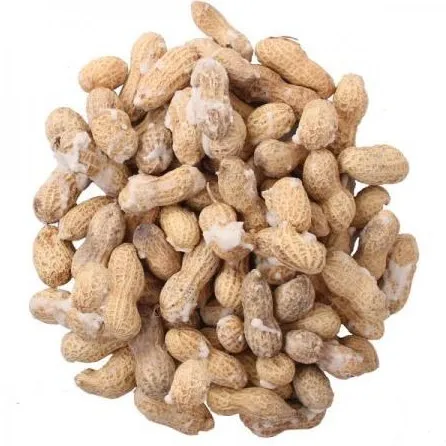 Buy roasted peanuts in shell salted + best price