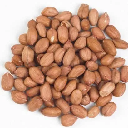 roasted peanuts in shell for sale | Buy at a cheap price