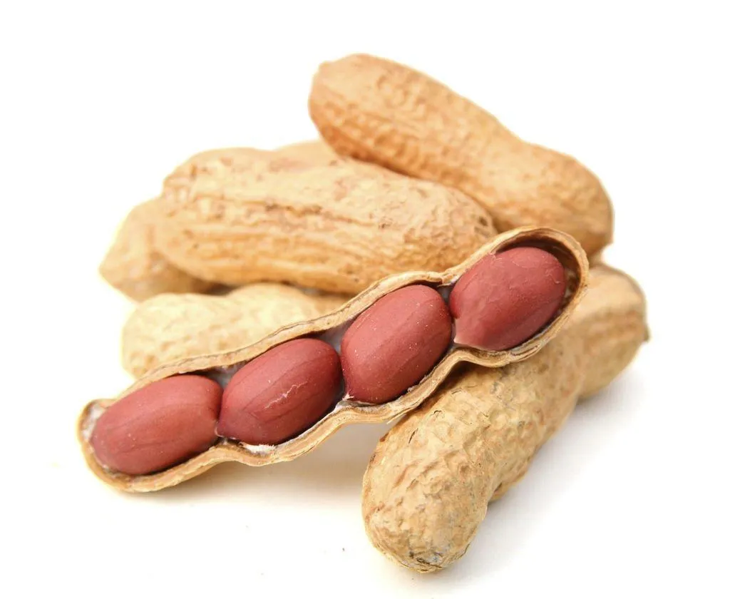 Buy salted peanuts in shell Canada at an exceptional price