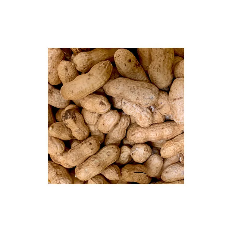 Buy salted peanuts in shell Canada at an exceptional price