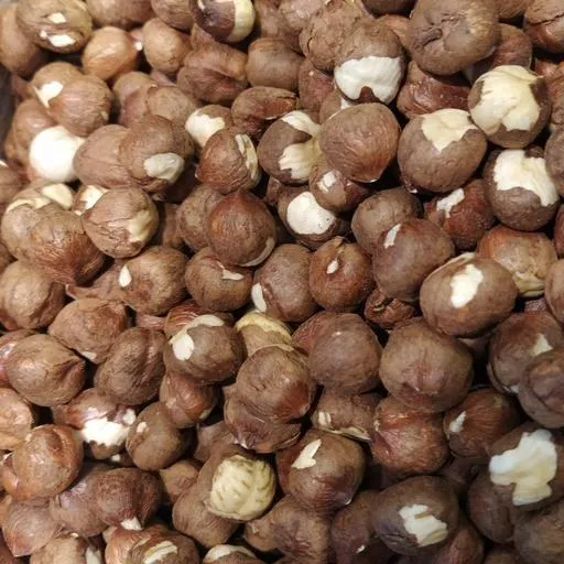 raw hazelnuts in shell