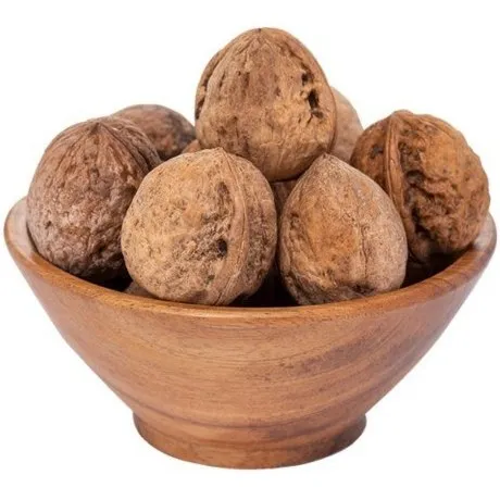 raw walnuts in shell