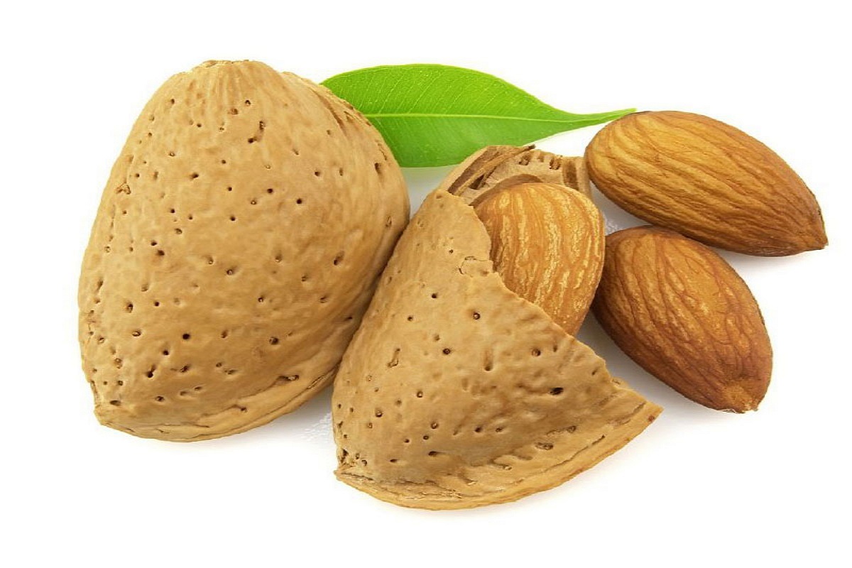 unsalted almond calories