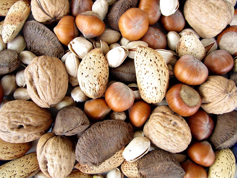 hazelnut kernel meal