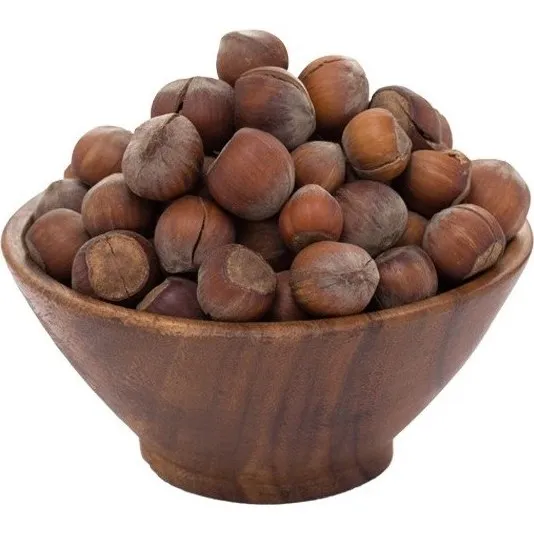 fresh hazelnuts in shell