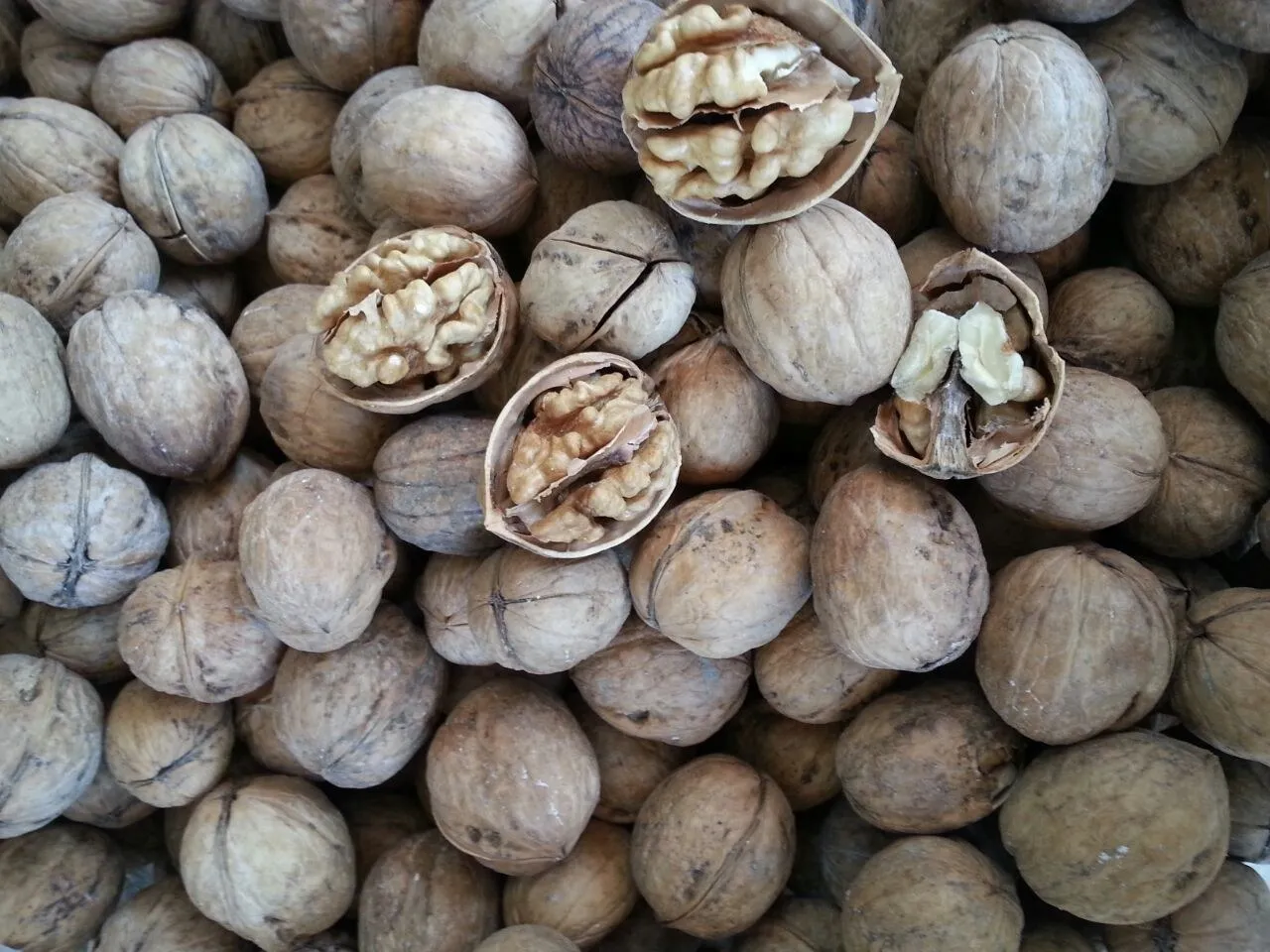 unshelled walnuts cheap