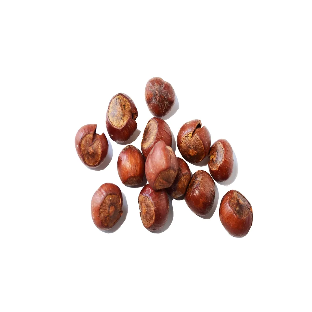 hazelnut kernels benefits