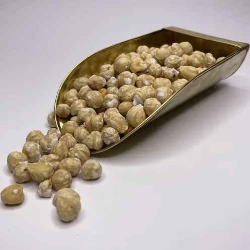 fresh hazelnuts in shell