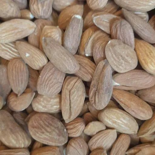 buy raw almond nuts