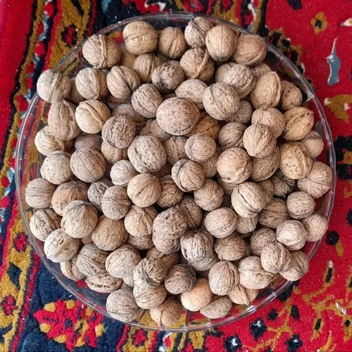 raw organic walnuts in shell