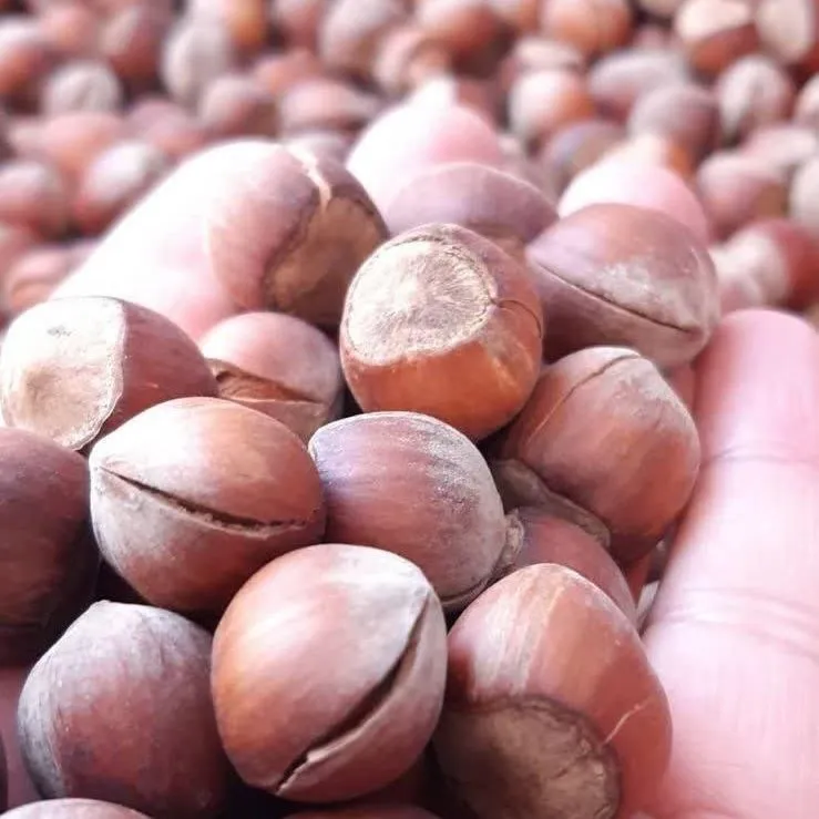 deseba shelled hazelnuts