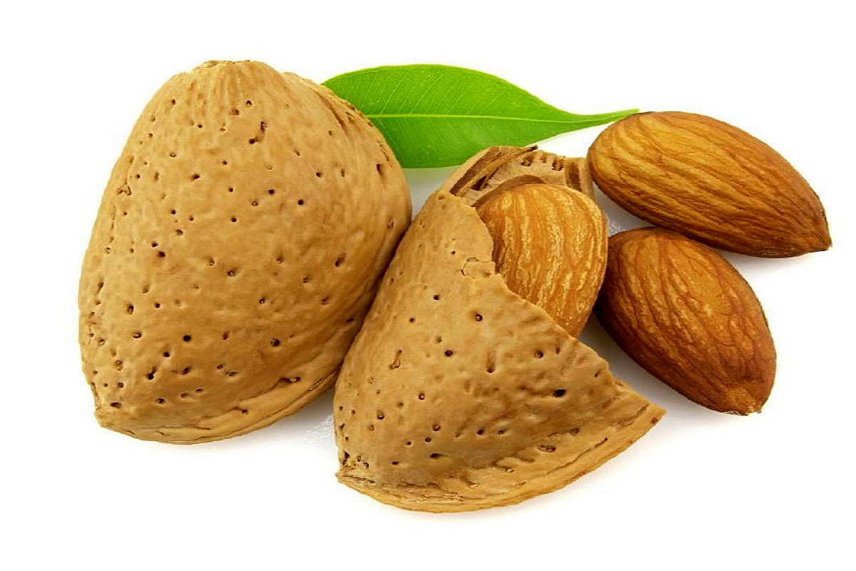 raw almond in shell