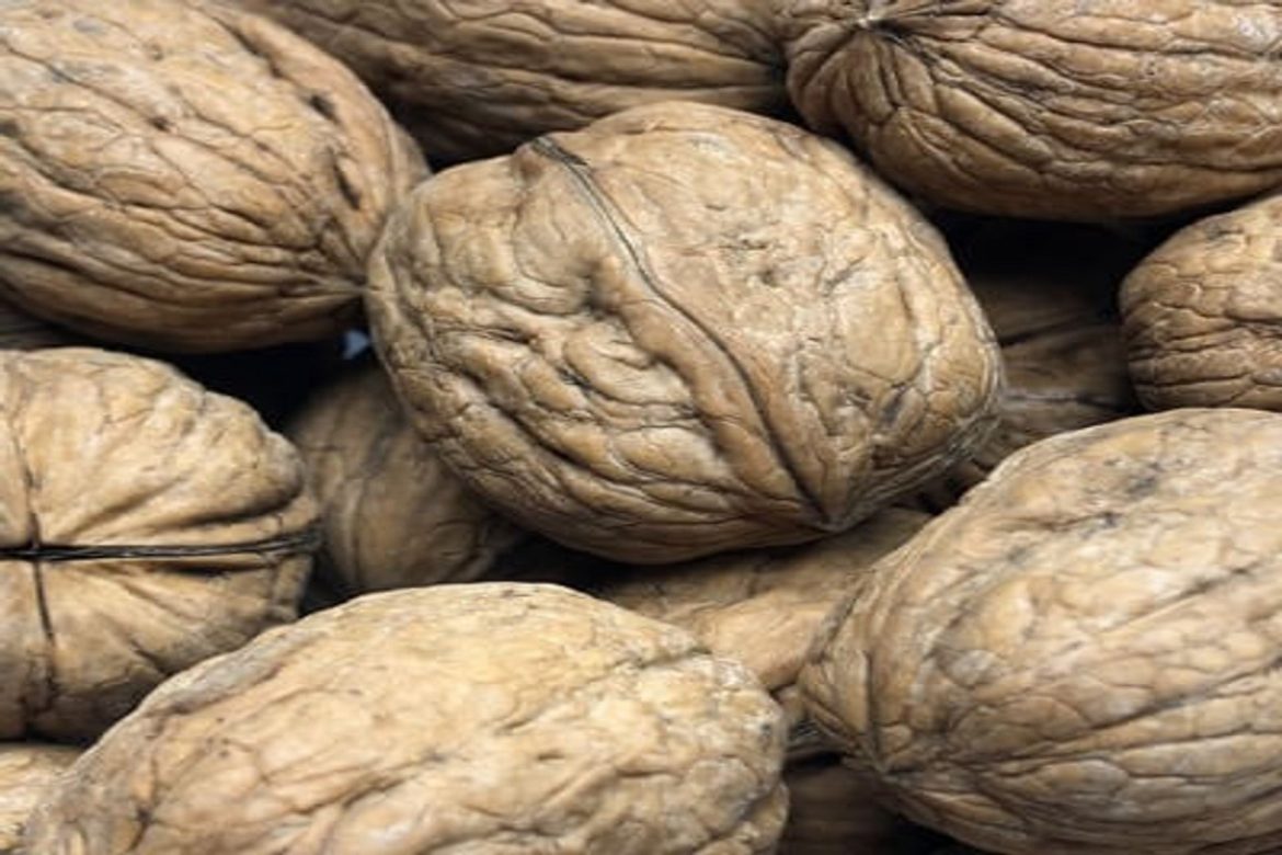 The purchase price of whole unshelled walnuts + training